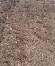 Mulch Chuck's Natural Bulk