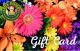 Hafner's Gift Card - Spring