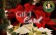 Hafner's Gift Card - Holidays